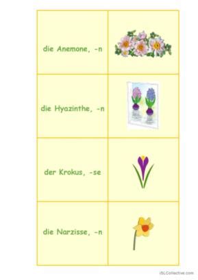 flases|flashes deutsch.